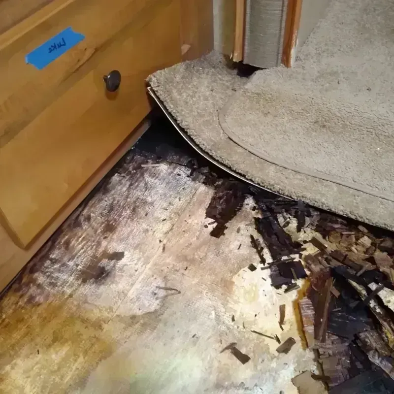 Wood Floor Water Damage in Richmond, VA